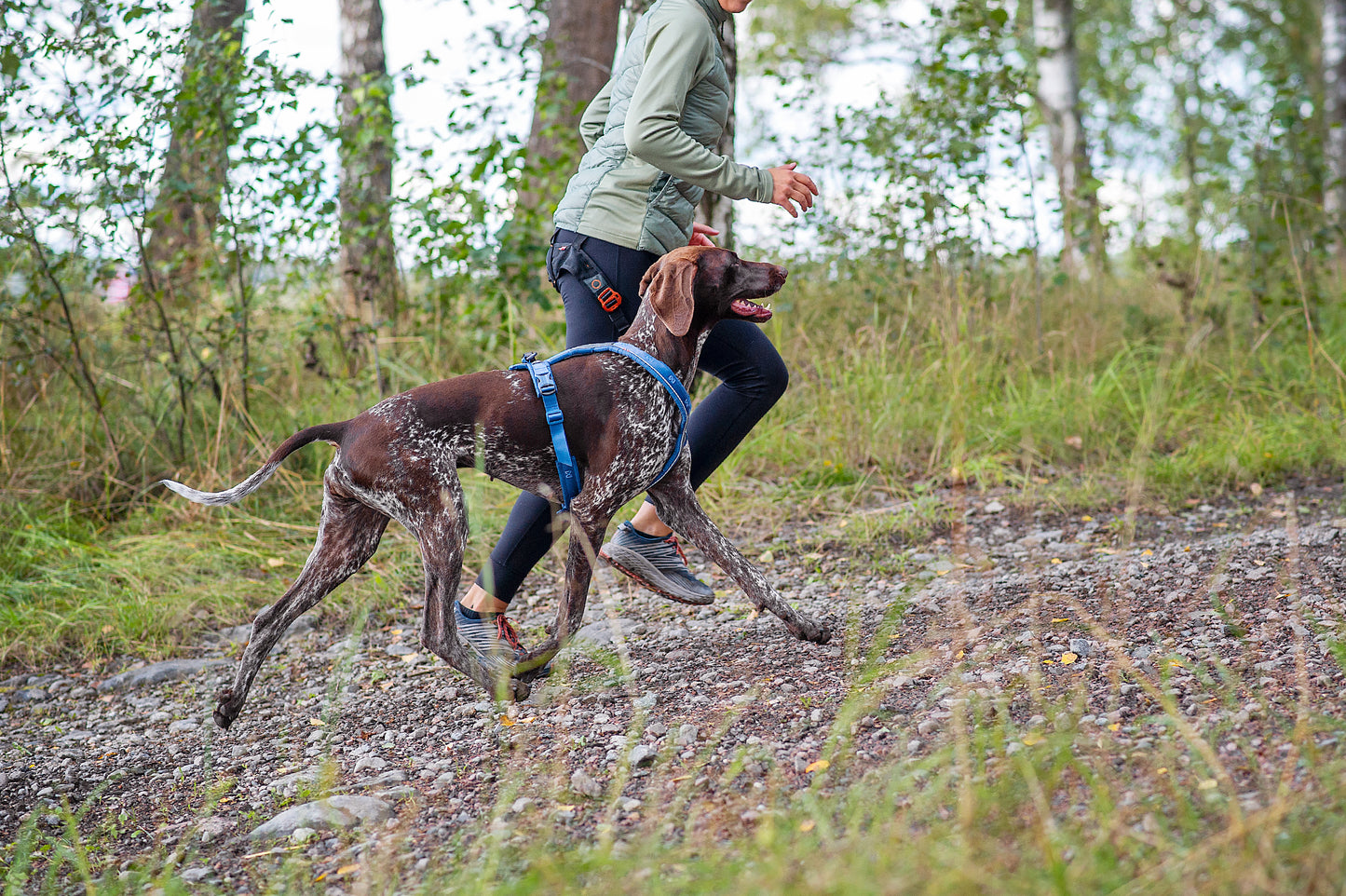 Non-stop dogwear Line harness 5.0