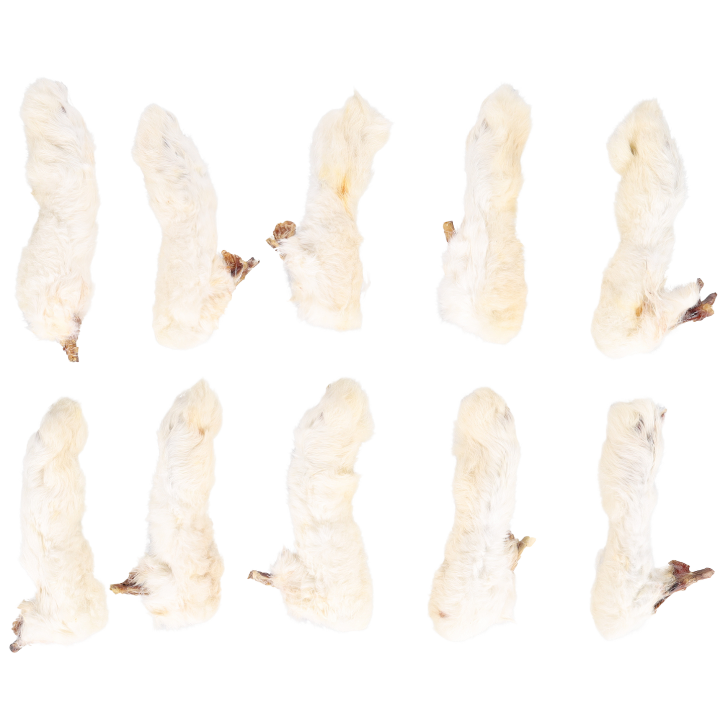 Konijnenpoten met haar