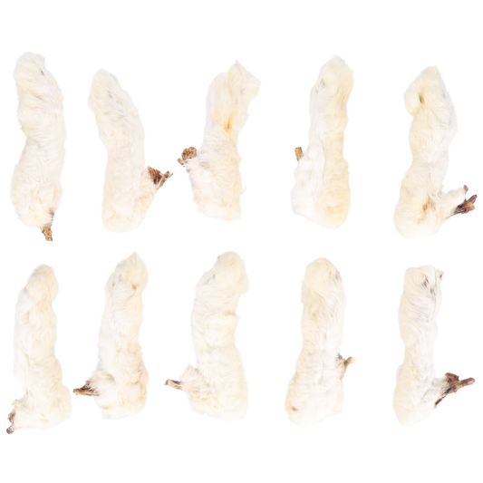 Rabbit feet with hair