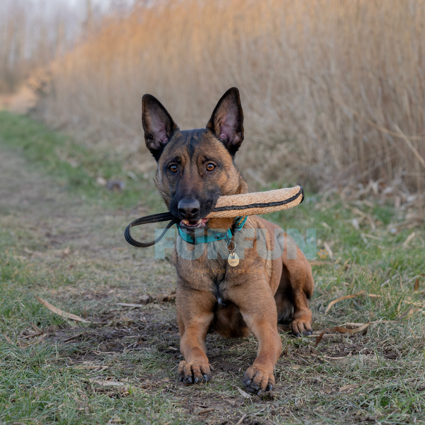 Bijtrol jute met griplijn