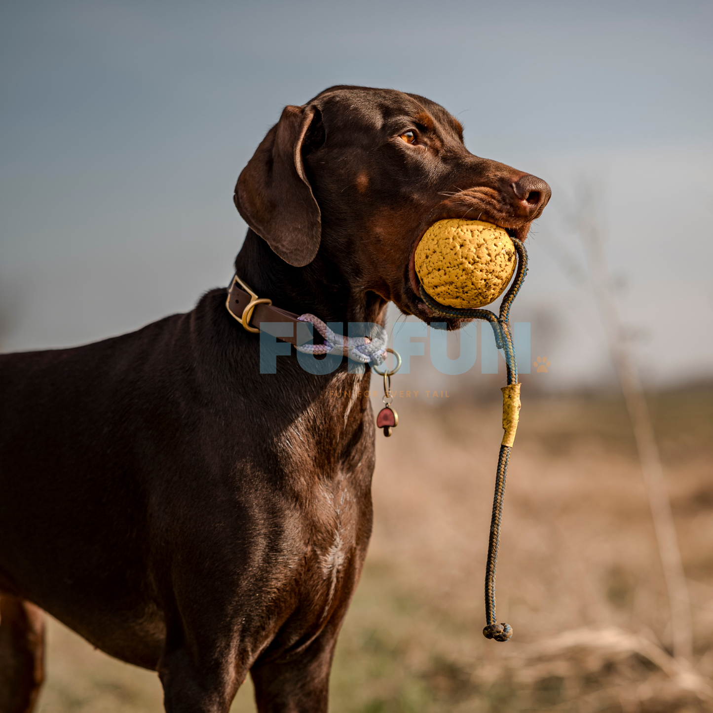 Durafoam bal met touw