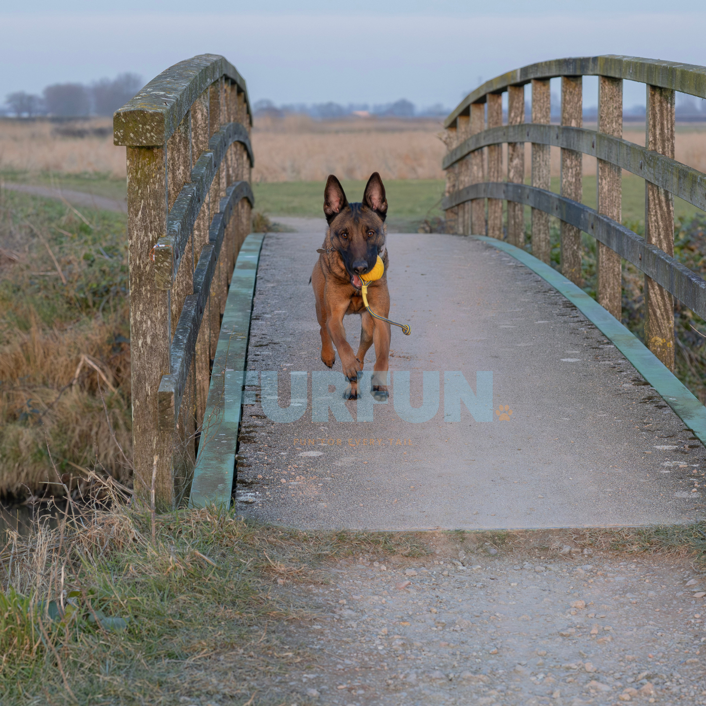 Durafoam bal met touw