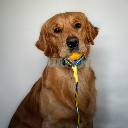 Durafoam bal met touw