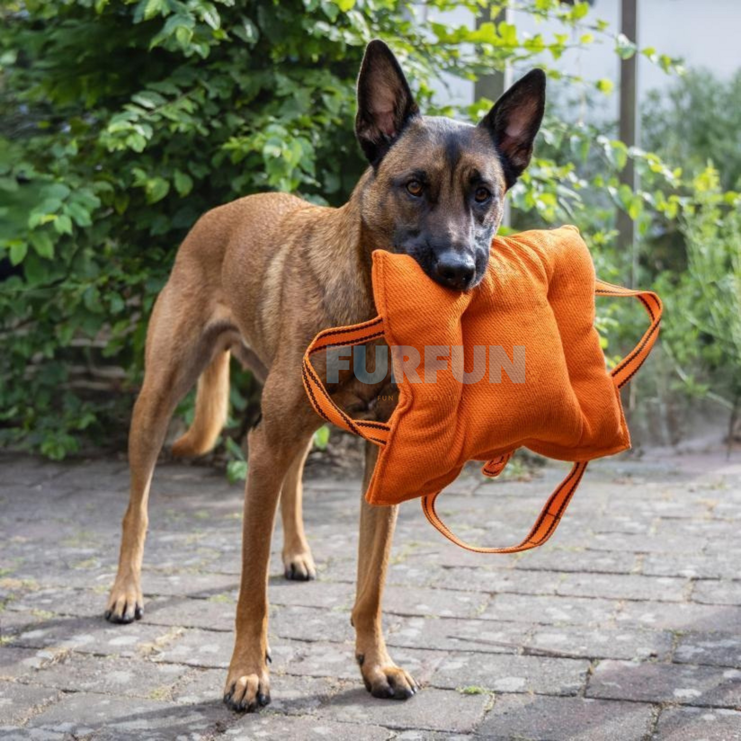 Bite pillow large