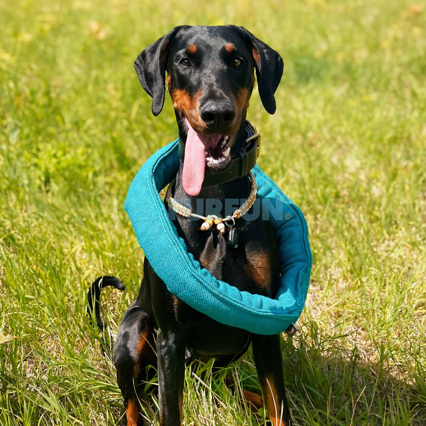 Ringo-Ring
