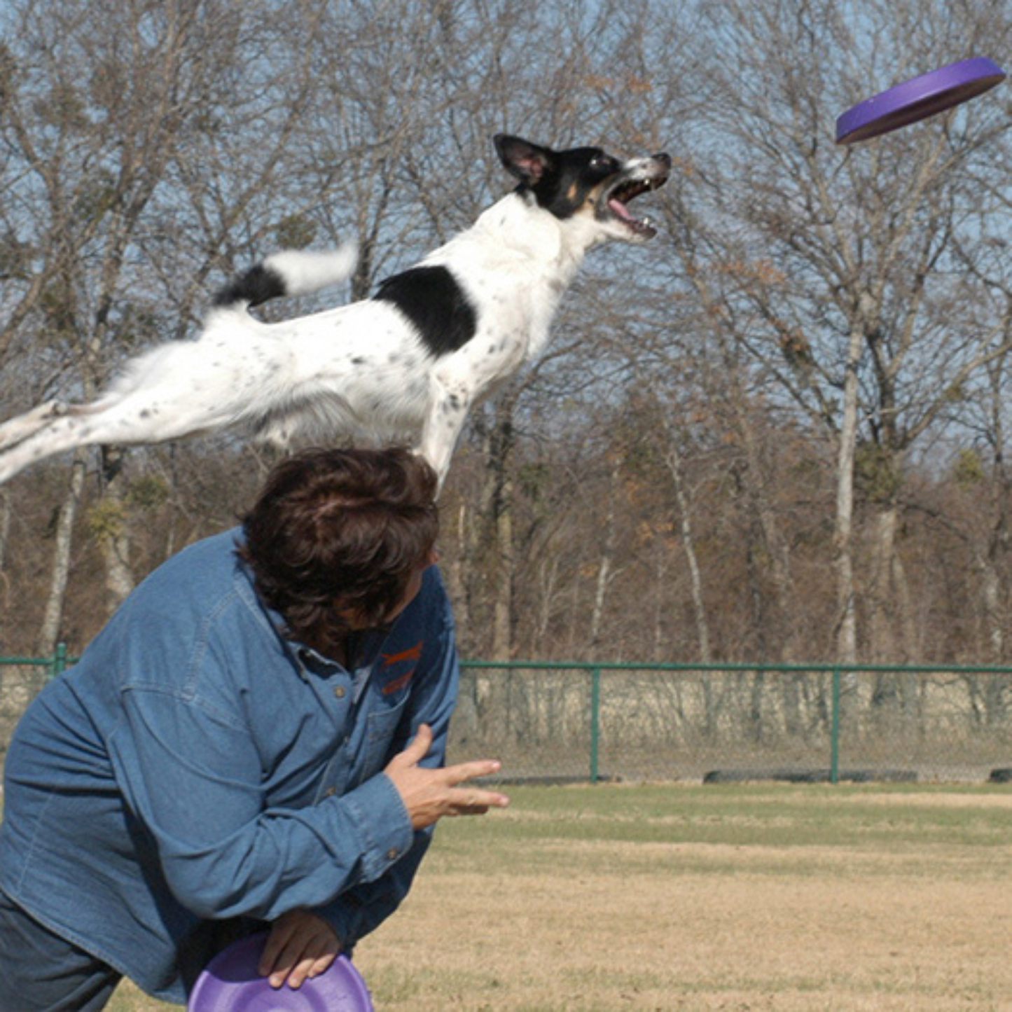 Durafoam frisbee StarMark