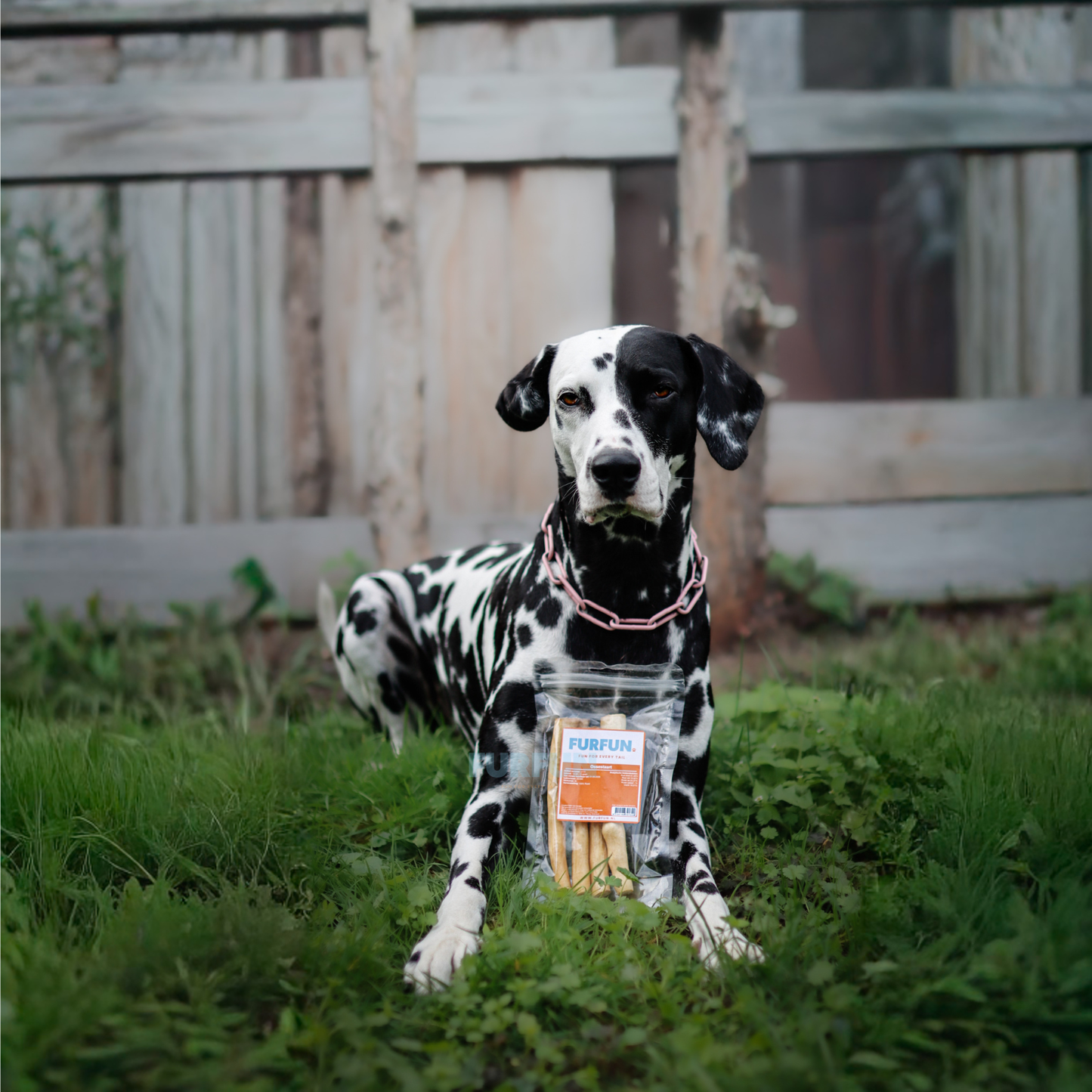 FurFun Ochsenschwanz