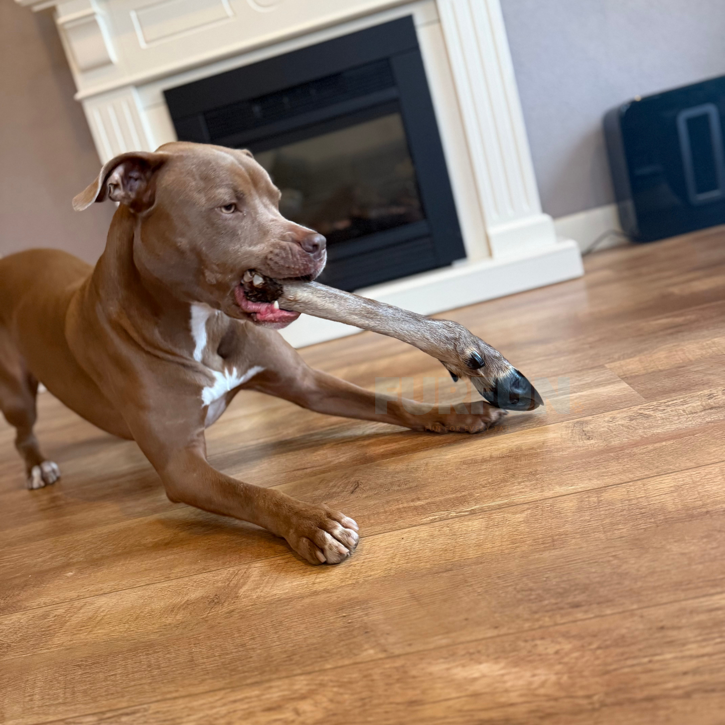 FurFun Deer Leg with Hair