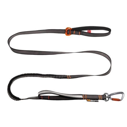 Non-stop dogwear Touring bungee adjustable