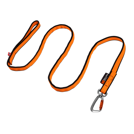Non-stop dogwear bungee leash