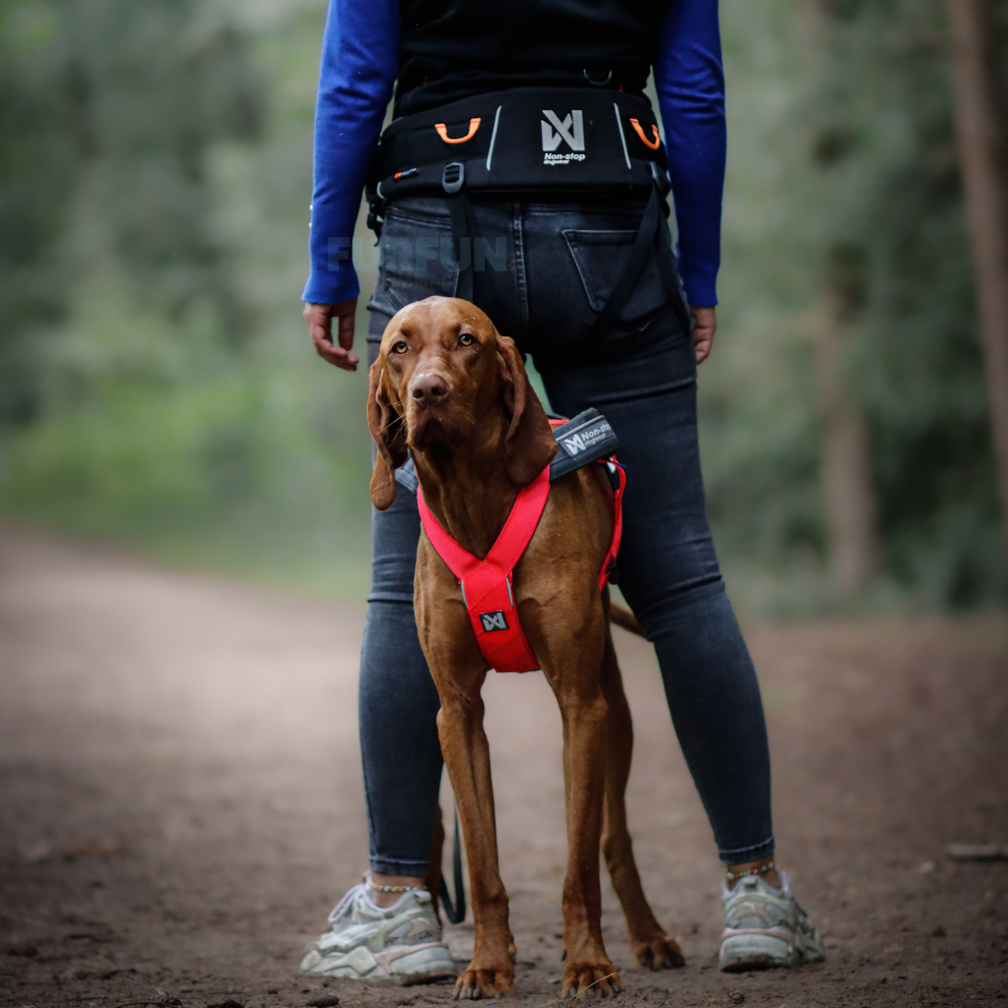 Non-stop dogwear Freemotion 5.0 harness