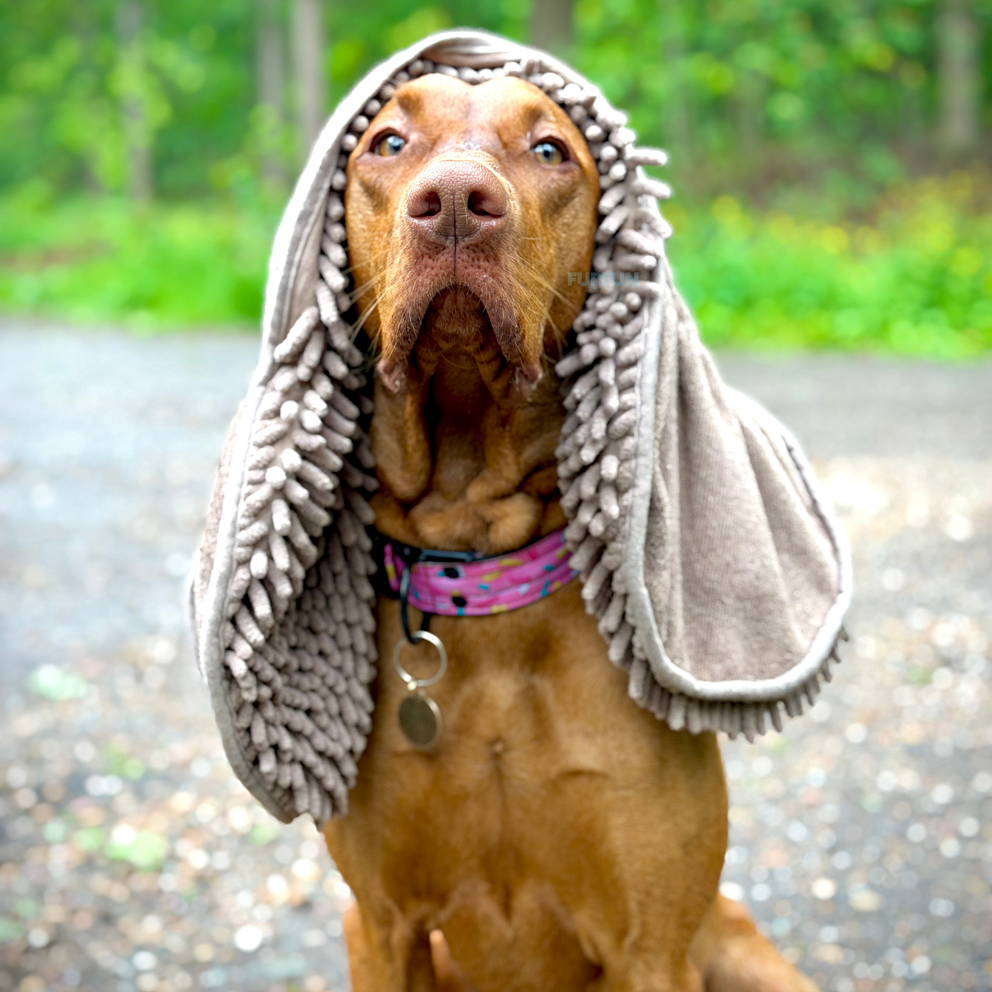 FurFun Pflegepaket