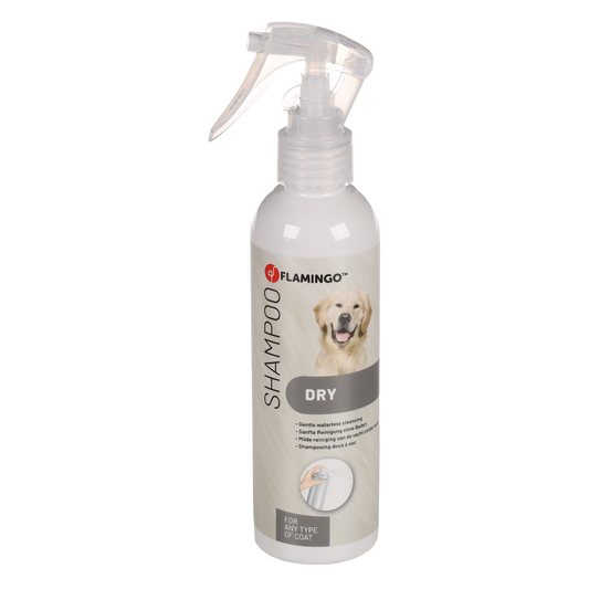 Trockenshampoo Bergamotte