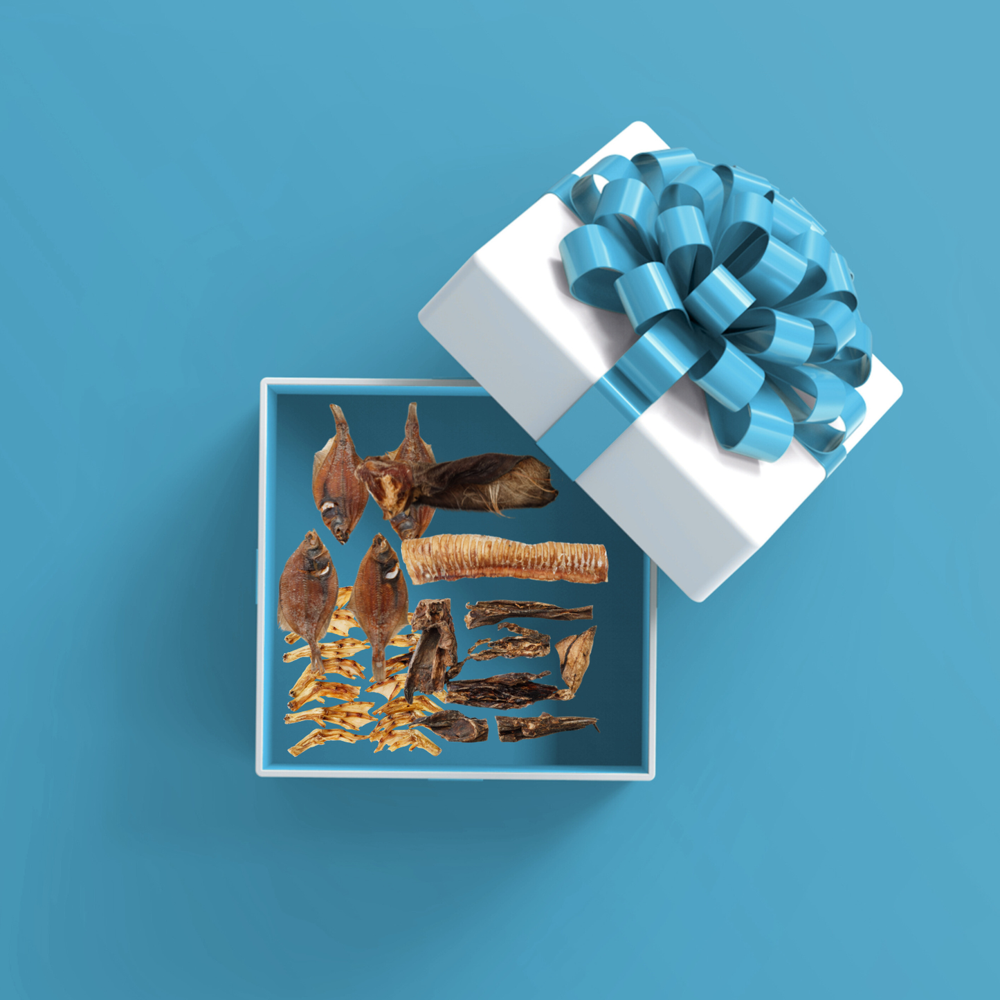 FurFun Snackpaket – 1 Year Celebration