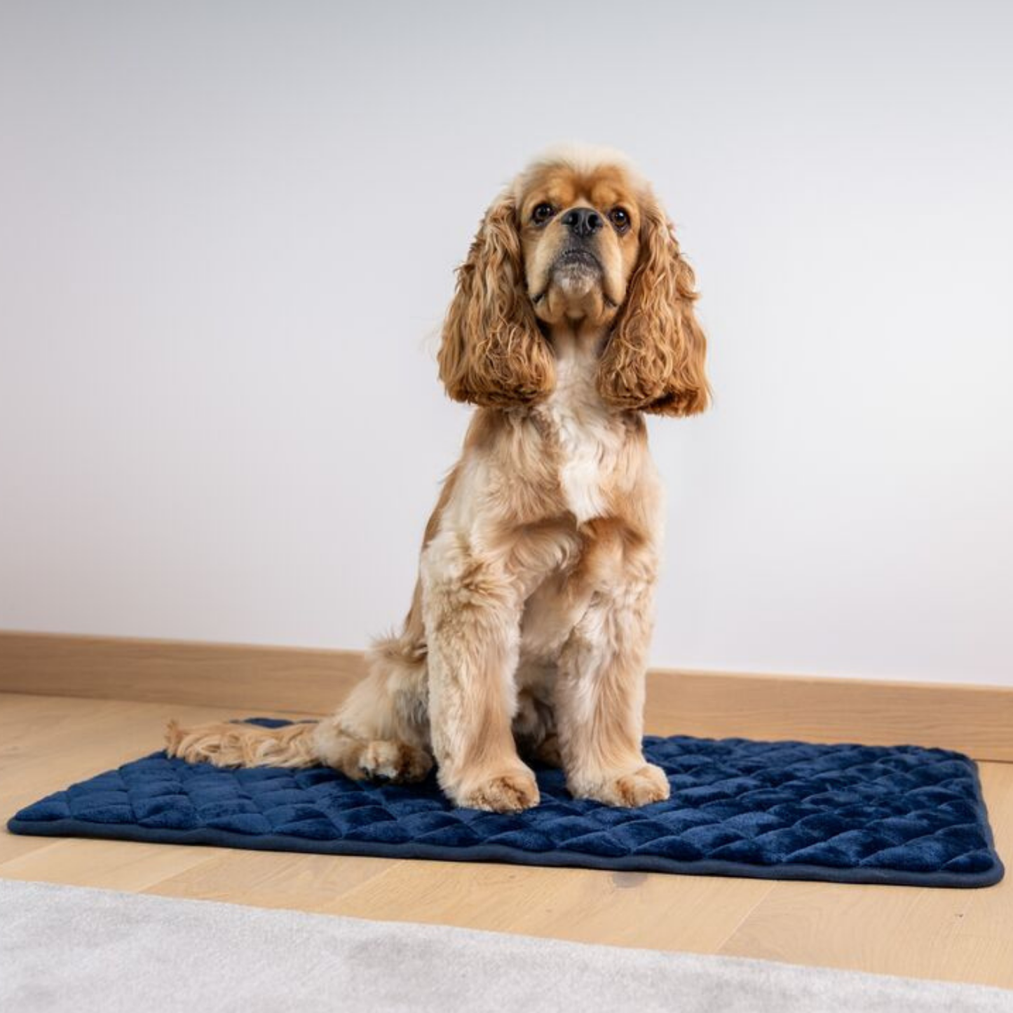 Weimar Memory Foam Kussen in 6 kleuren
