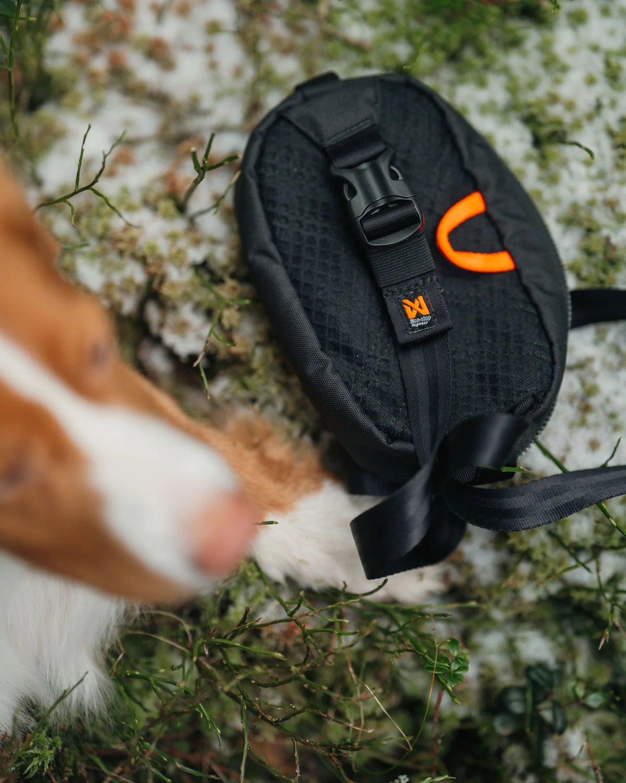 Non-stop dogwear Trail quest fanny pack