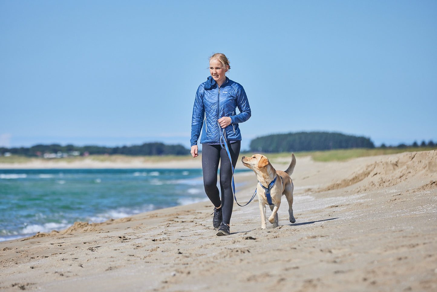 Non-stop dogwear Line harness 5.0