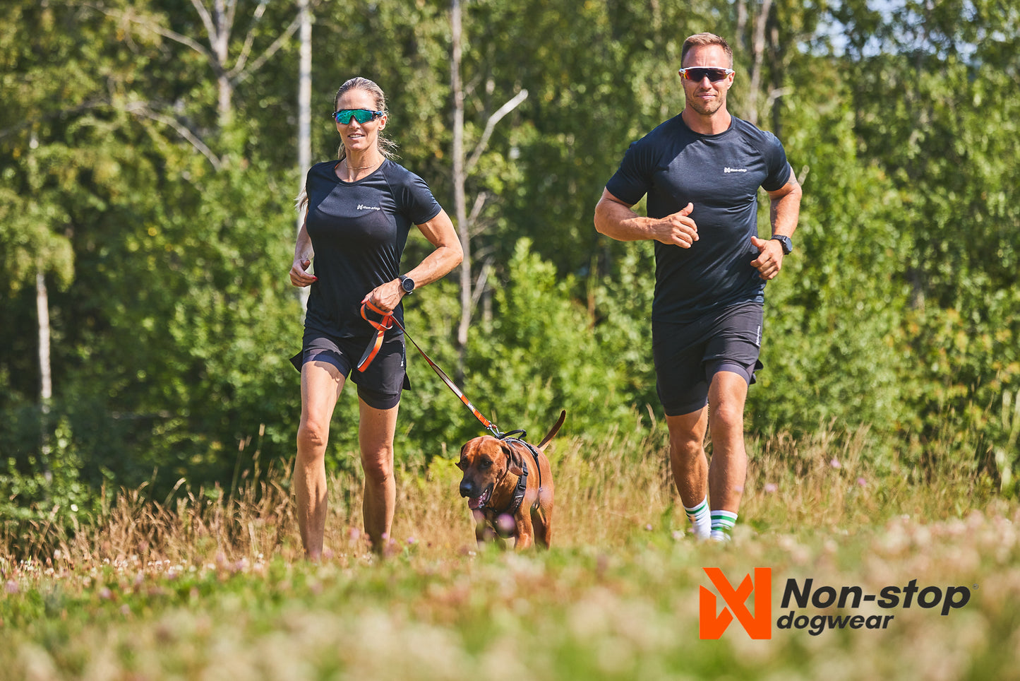 Move Leine Non-Stop Dogwear