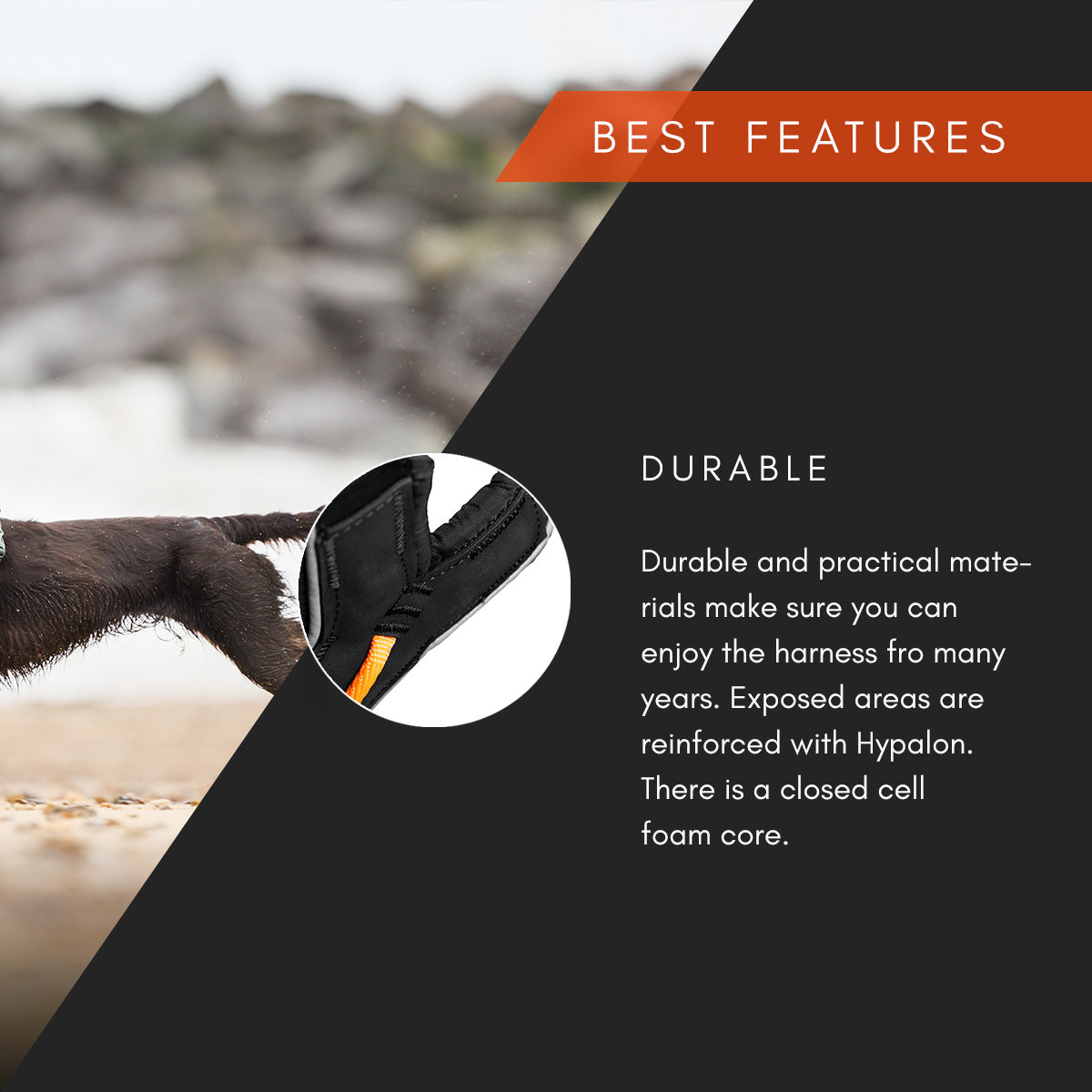 Non-stop dogwear Line harness 5.0