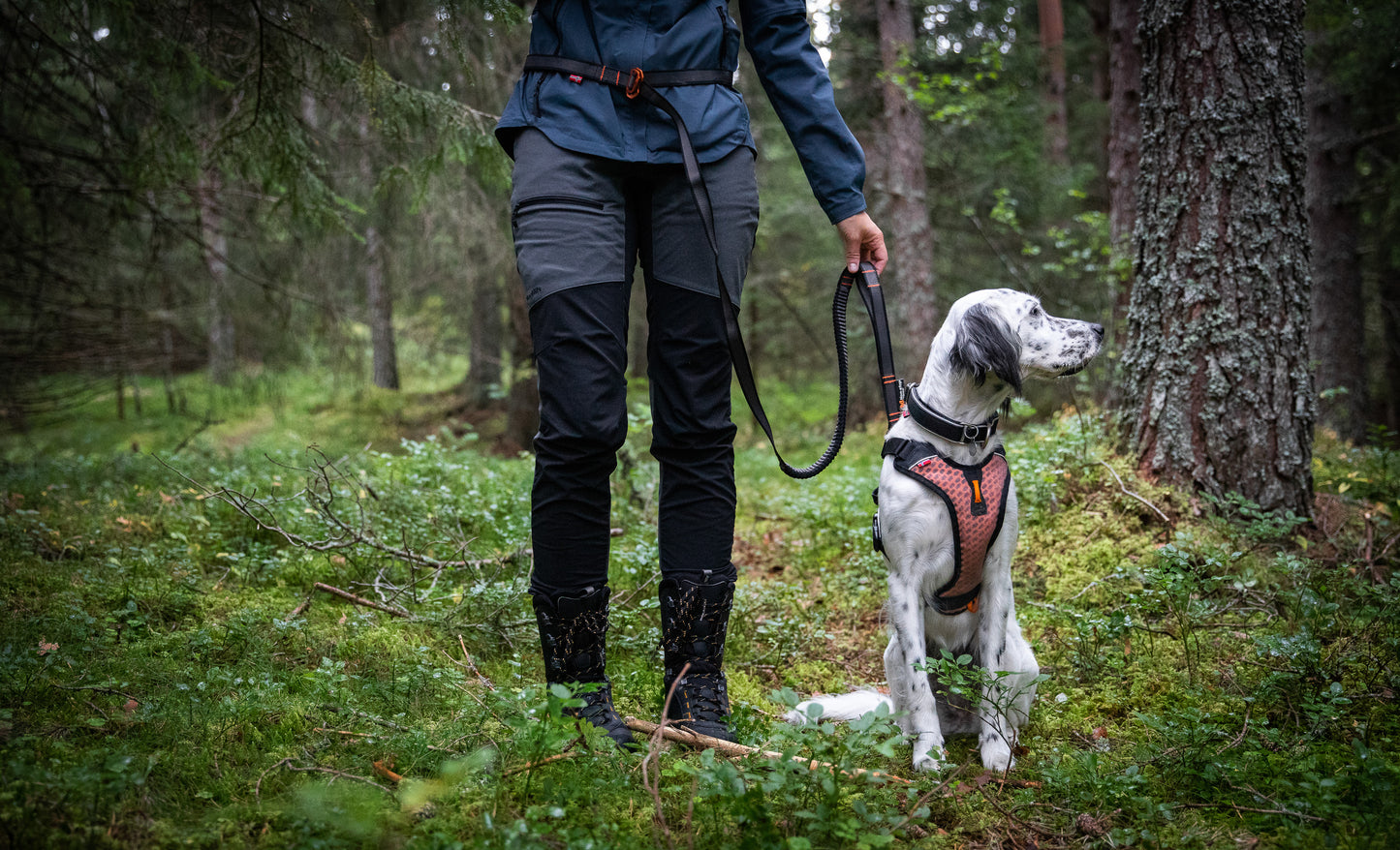 Non-stop dogwear Touring bungee adjustable