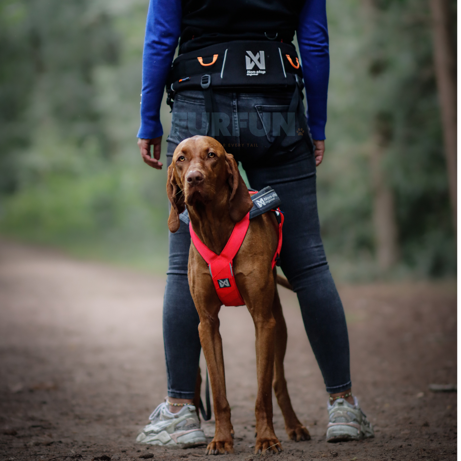 Non-stop Dogwear