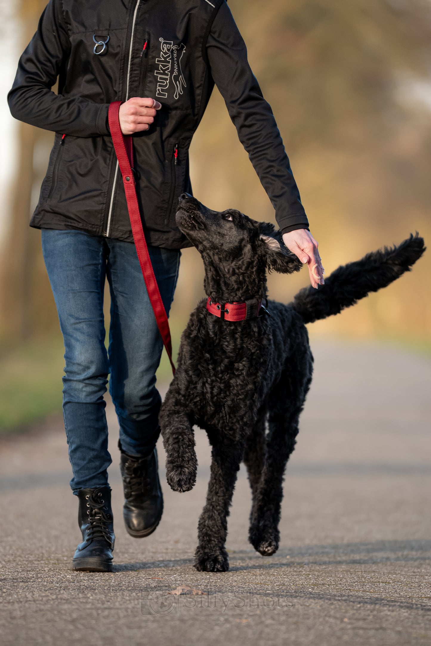FurFun premium dog leash 150 cm
