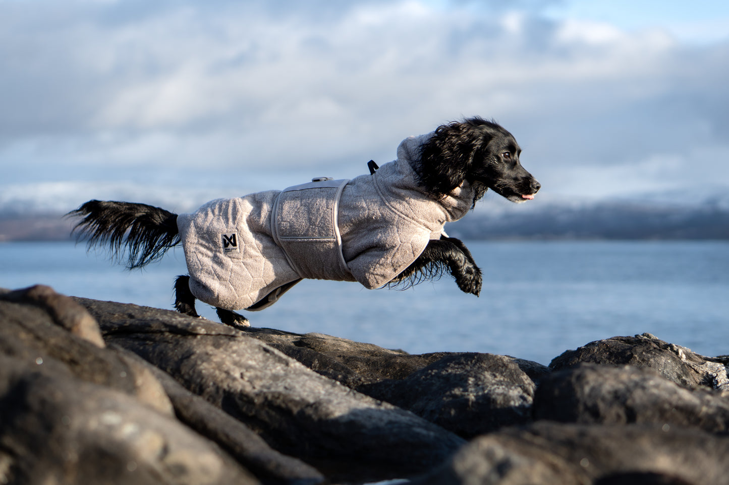 Non-stop dogwear drying coat