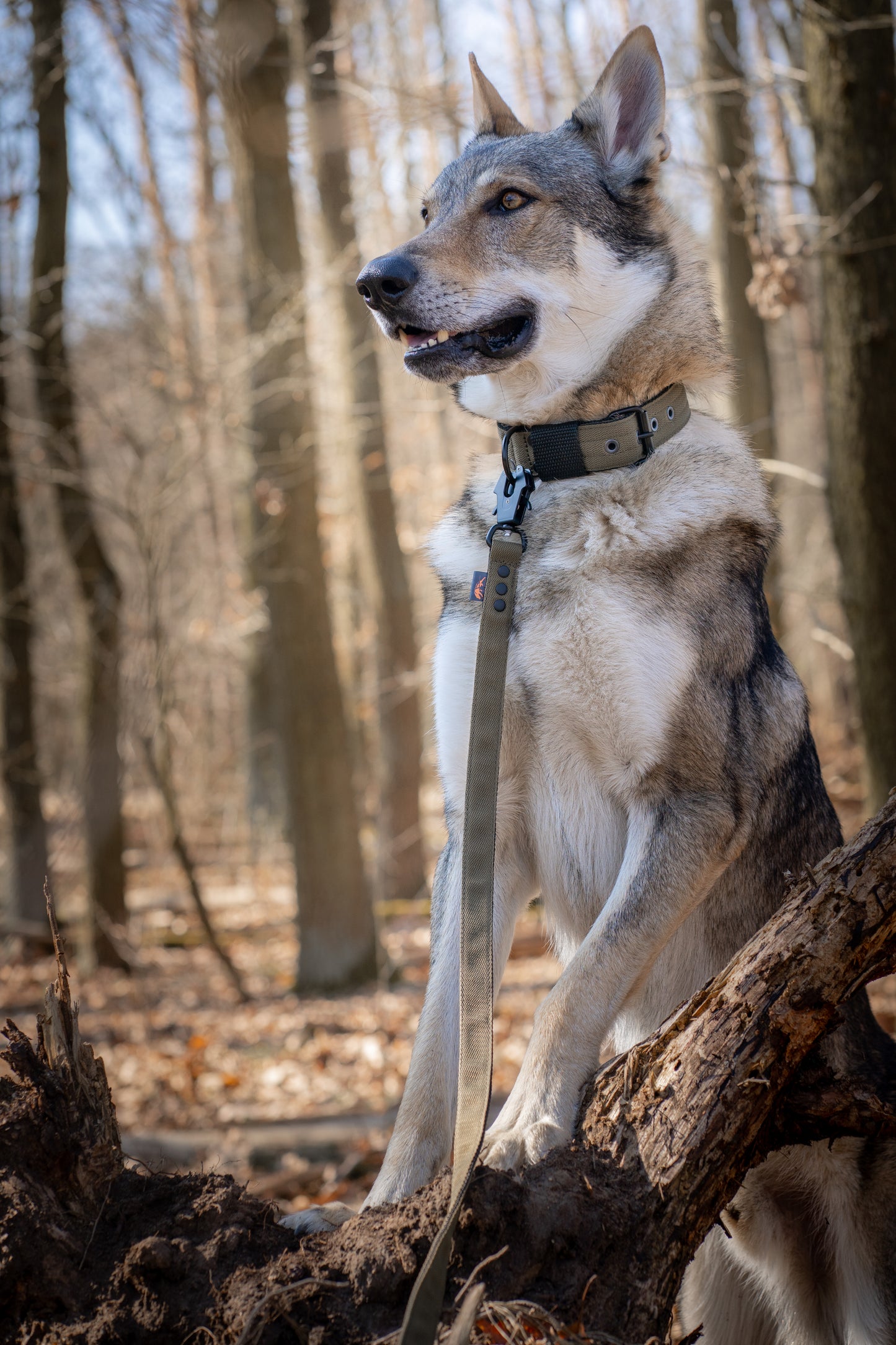 FurFun premium dog leash 150 cm