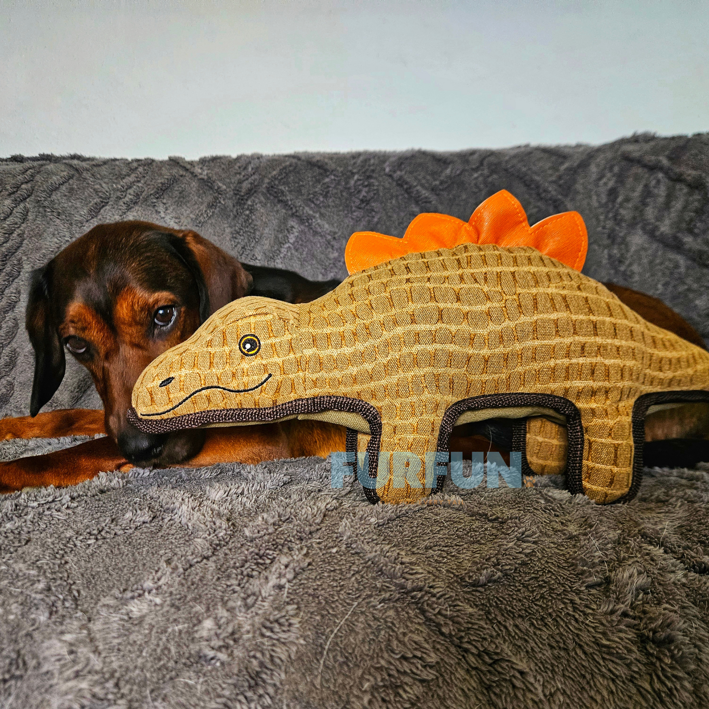 Dobbla Dinosaurus