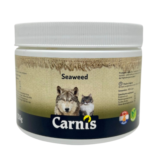 Carnis zeewier