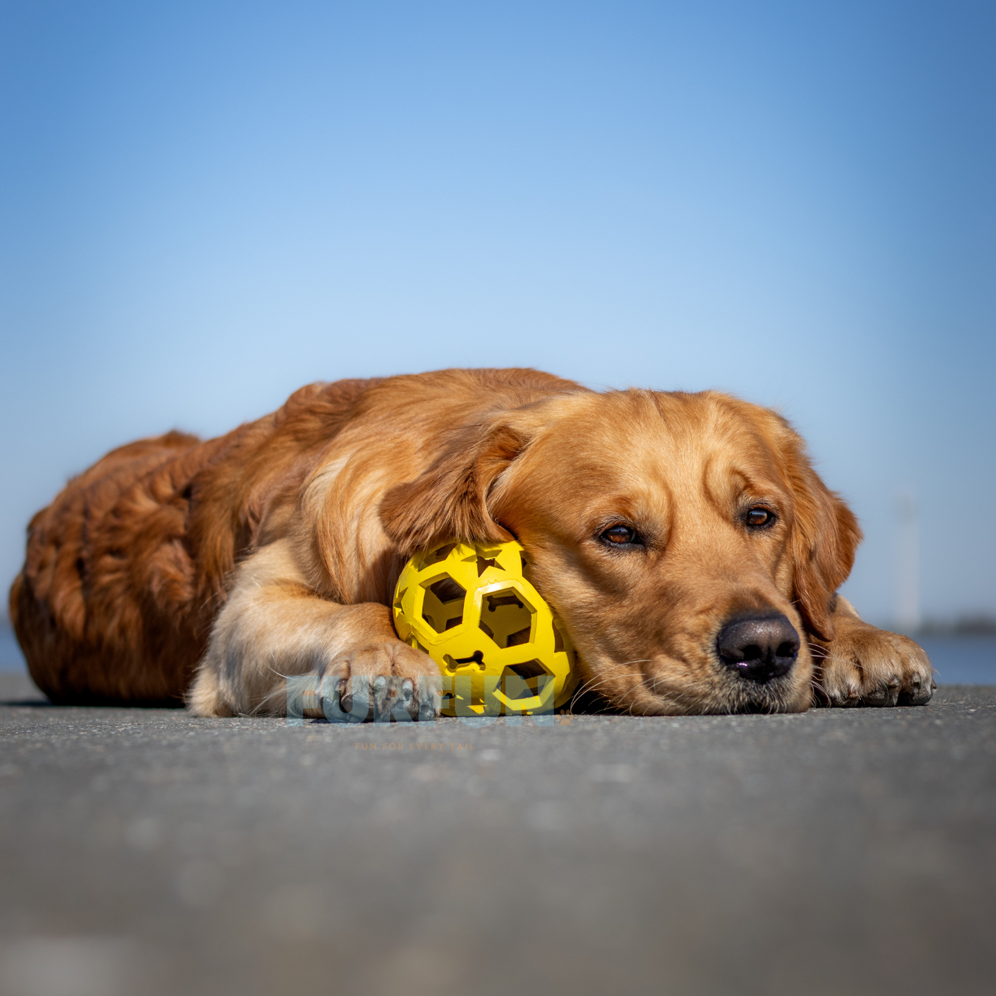 Ruffus Ball