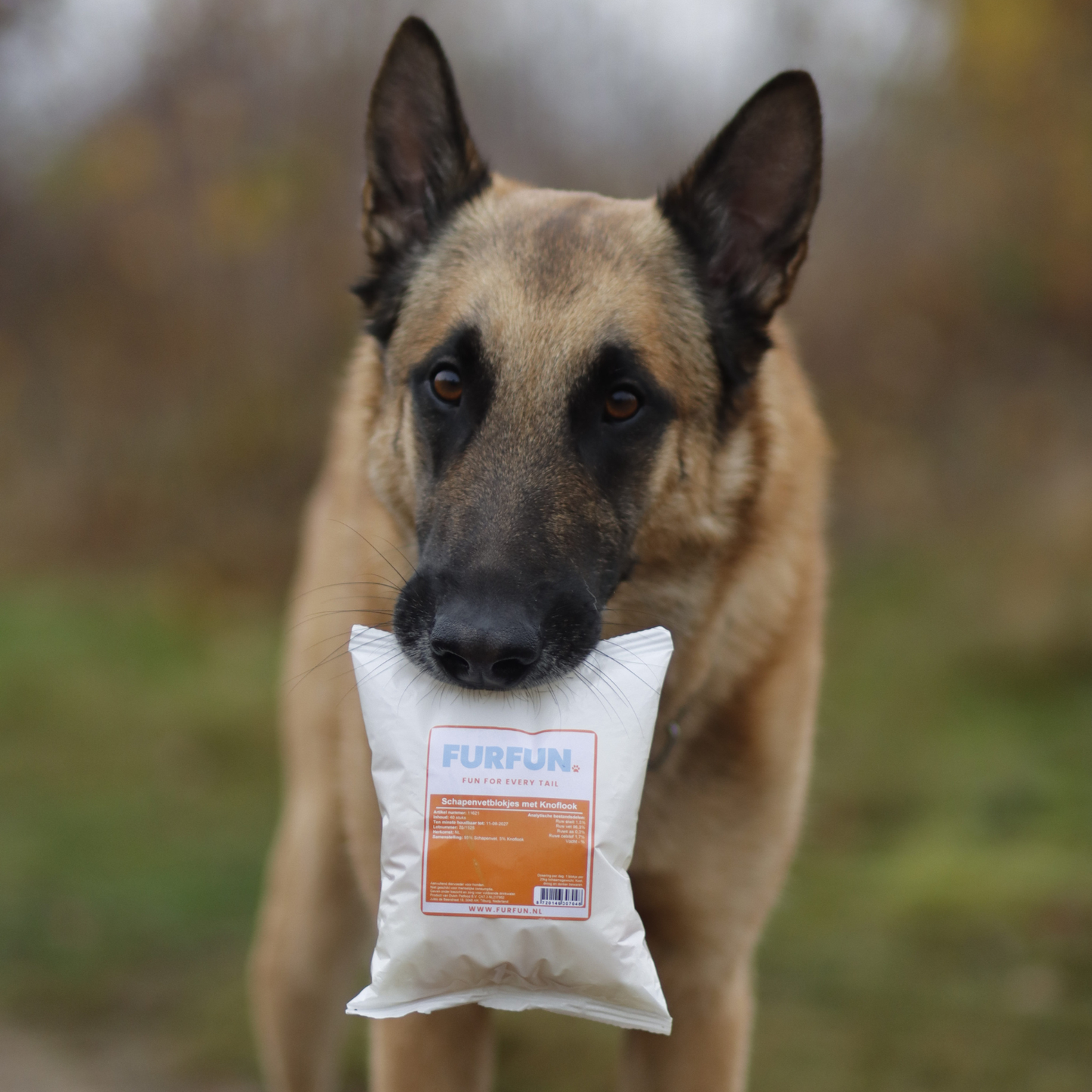 FurFun Schapenvetblokjes met Knoflook