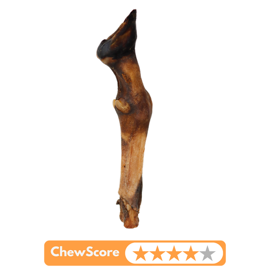 FurFun Lamspoot