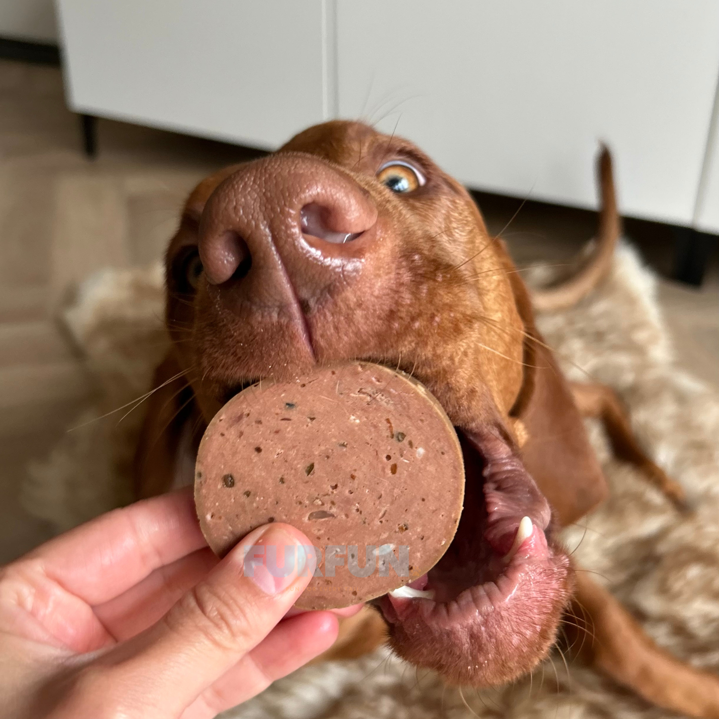 FurFun haltbare Wurst, 6 verschiedene Geschmacksrichtungen