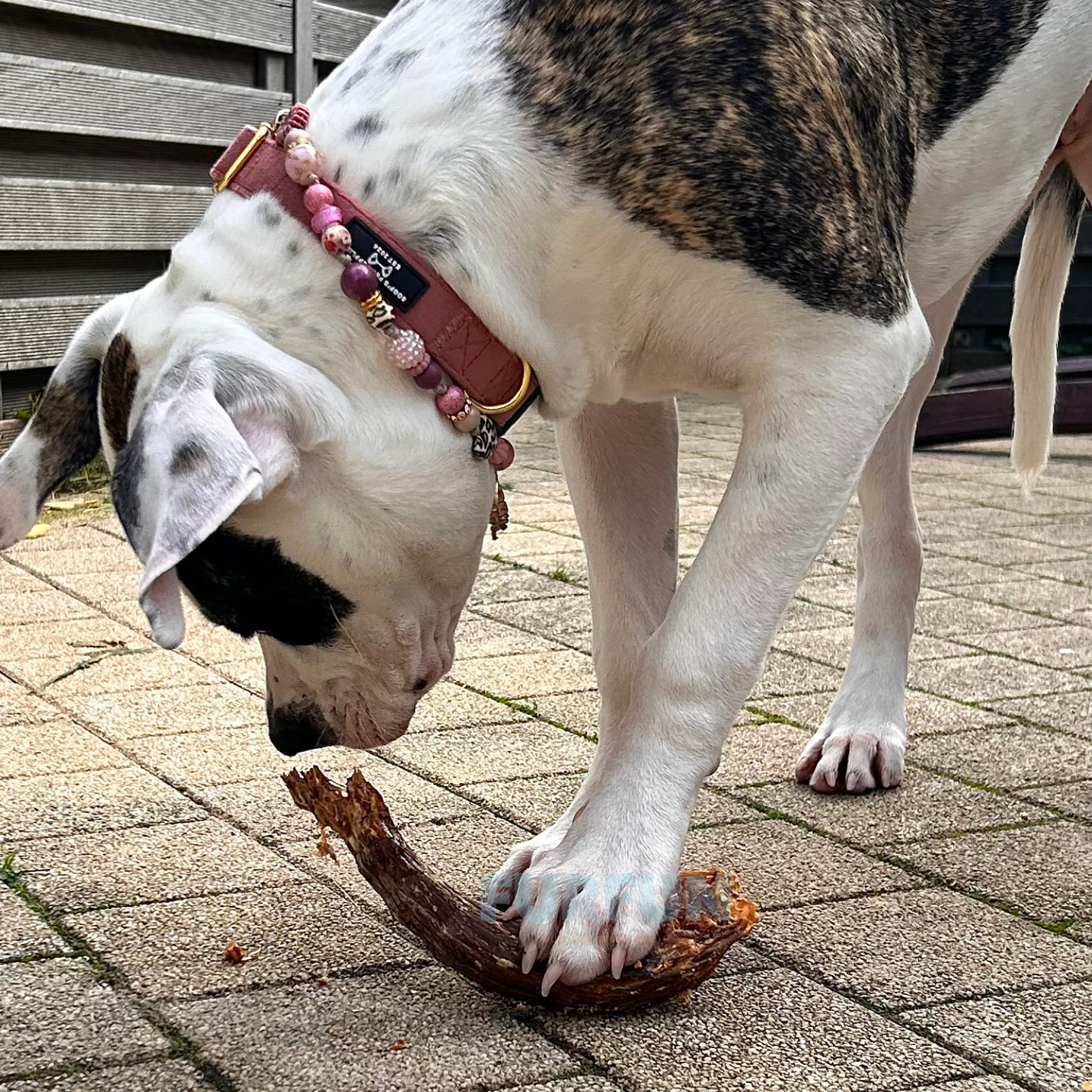 FurFun Truthahnhälse