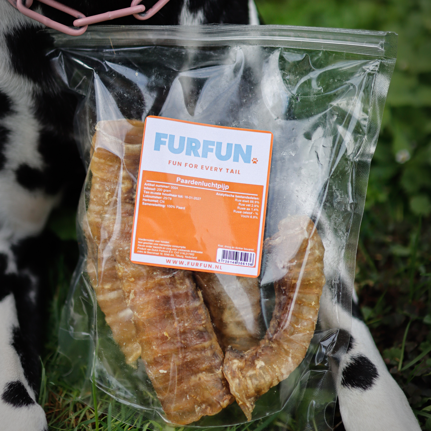 FurFun Pferde-Luftröhre