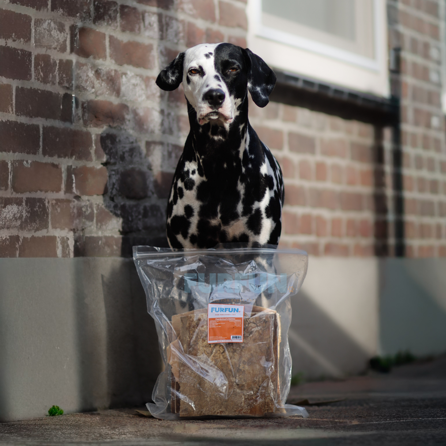 FurFun Pferdekopfhautplatten - 500 Gramm