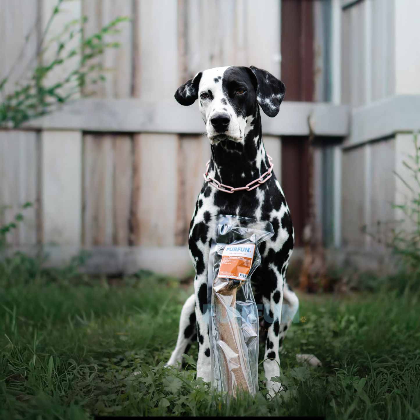 FurFun Hirschbein mit Haaren