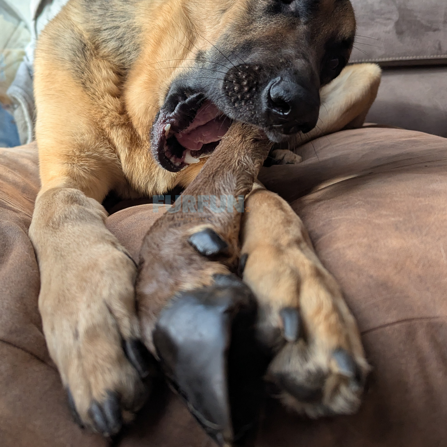 FurFun Hirschbein mit Haaren