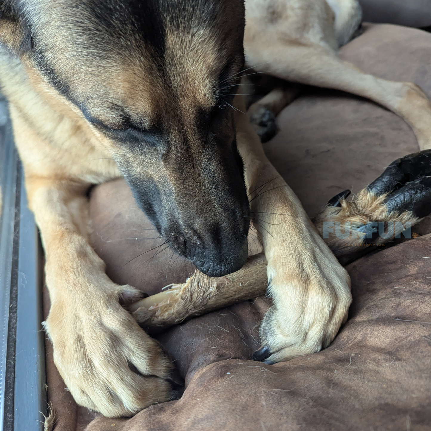FurFun Hirschbein mit Haaren