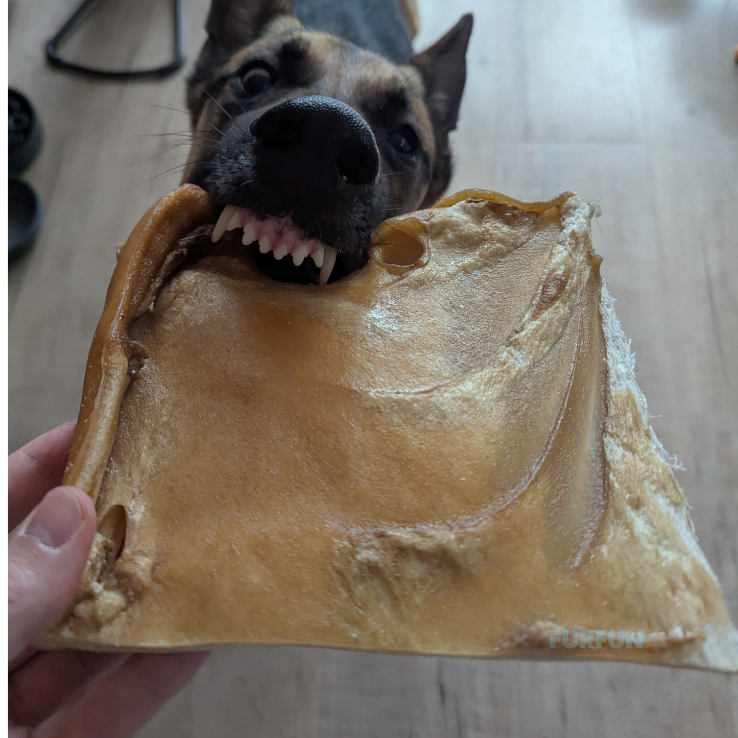 FurFun Runderkophuidplaat