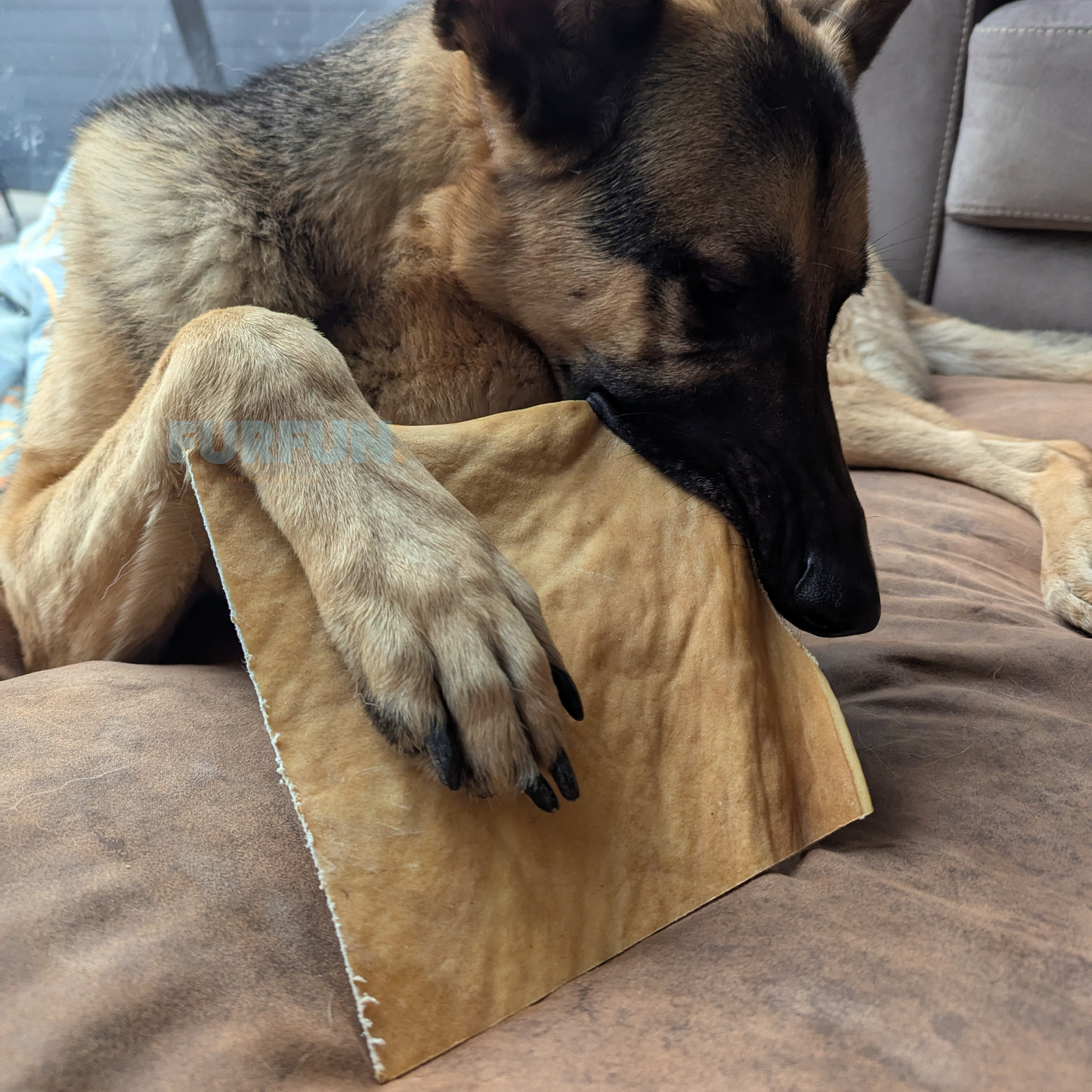 FurFun Pferdekopfhautplatten - 500 Gramm