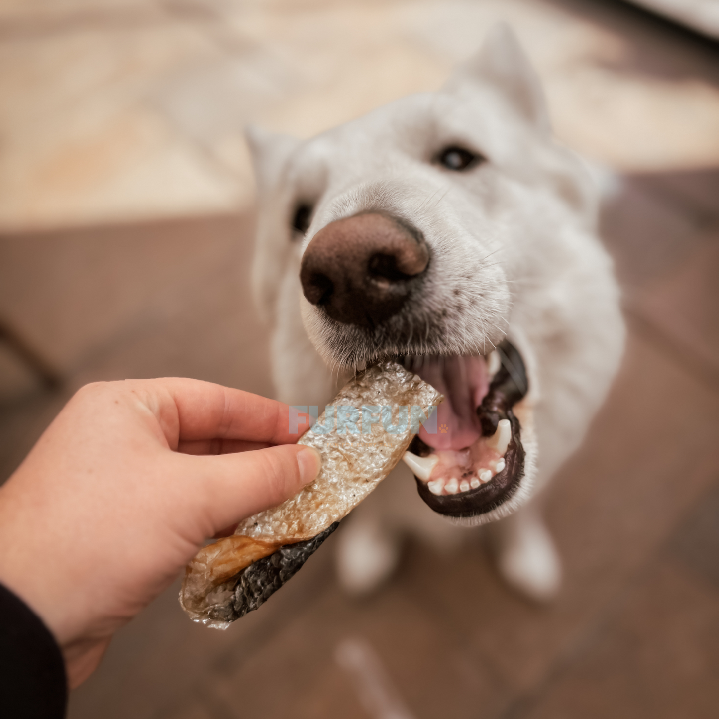 FurFun Zalmhuid met vlees