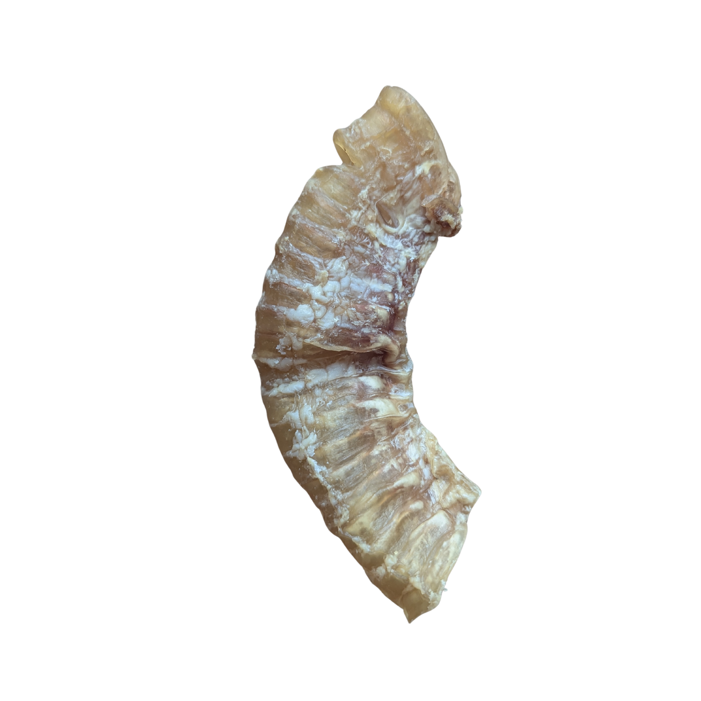 FurFun Pferde-Luftröhre