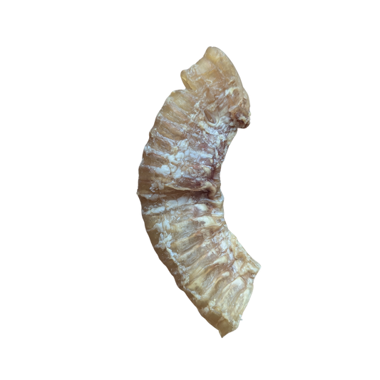 FurFun Pferde-Luftröhre