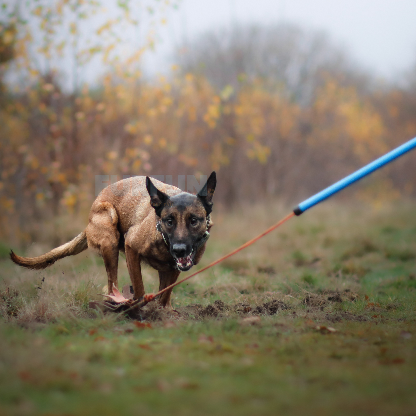 Handgemaakte flirtpole