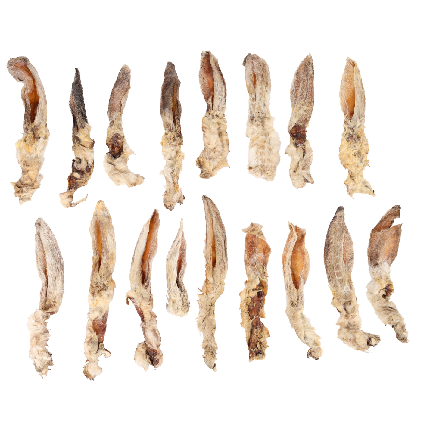 Hasenohren