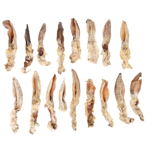 Hasenohren