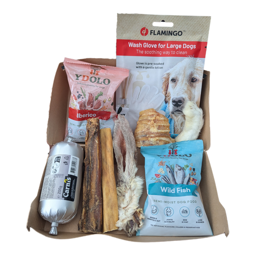 The FurFun Favourites Box
