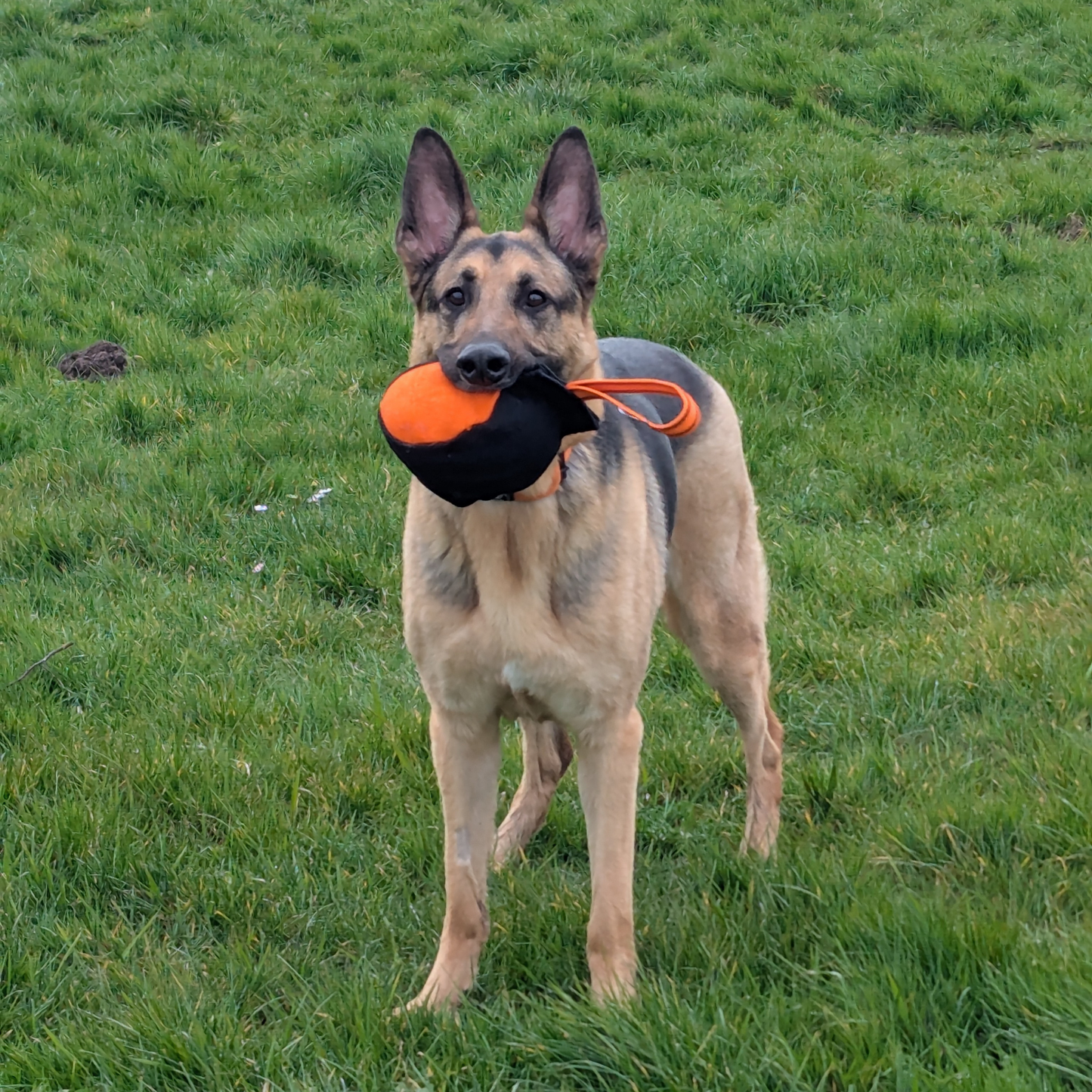 Ringo-Ball mit Griff